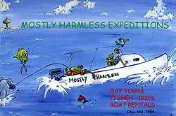 Mostly Harmless, our 28' picnic launch for day trips to the Tobago Cays, and other nearby southern Grenadine islands